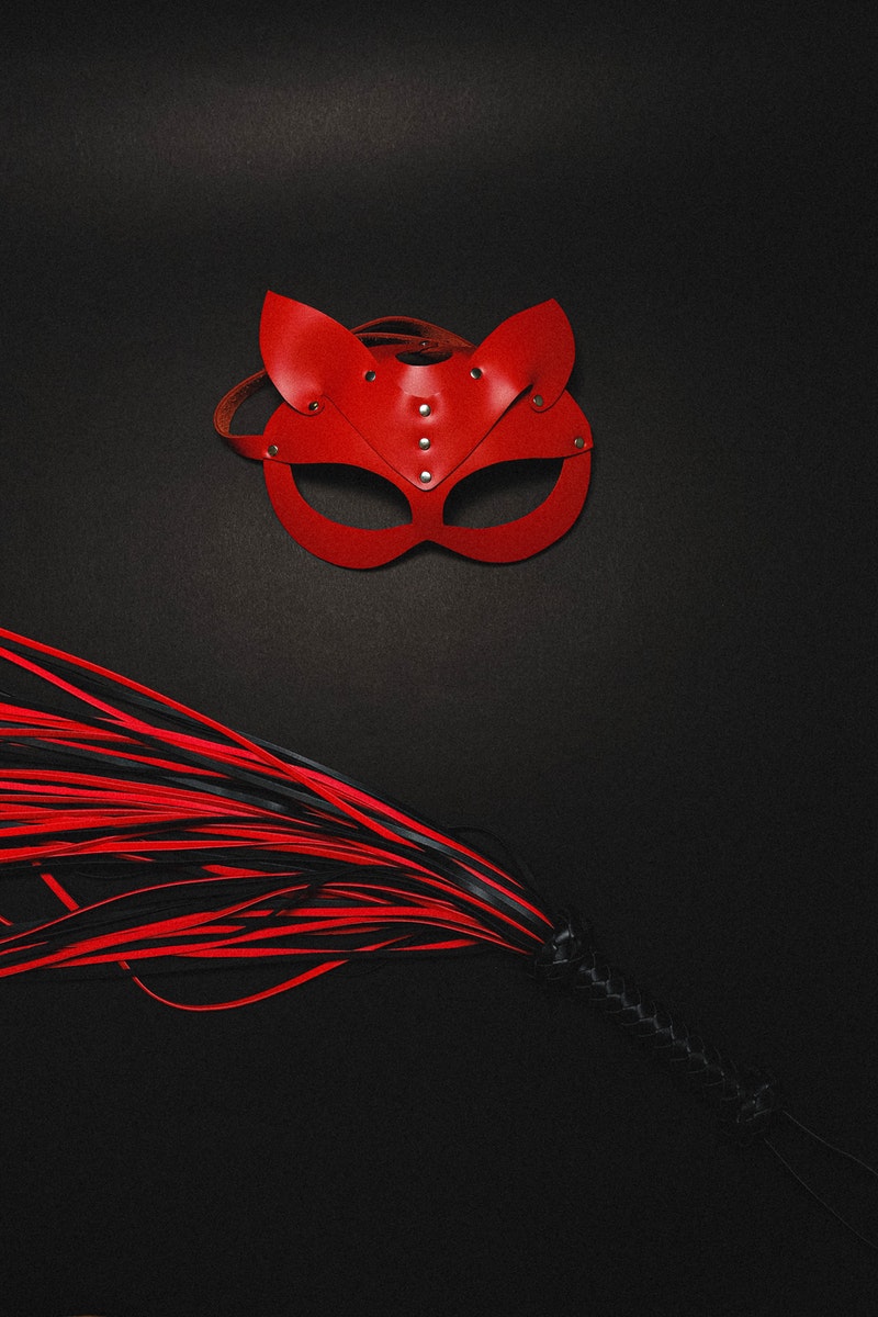 BDSM Mask and Whip