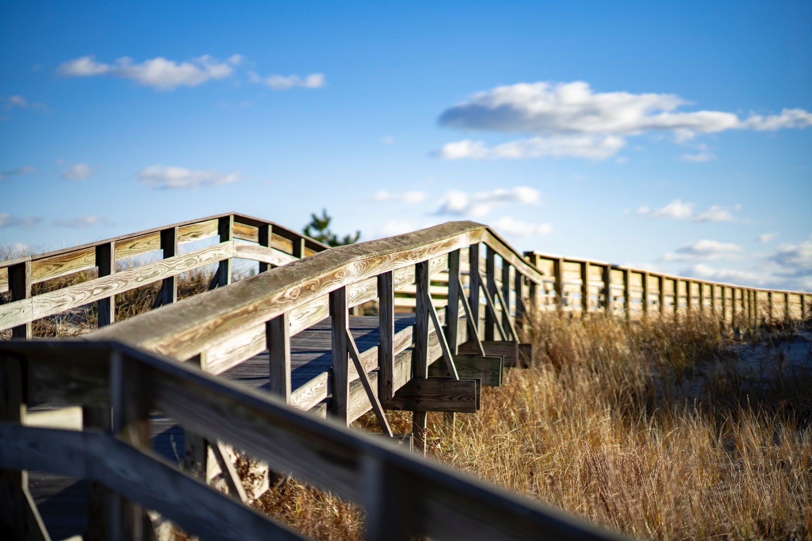 brown wooden fence on brown grass field under blue sky during daytime